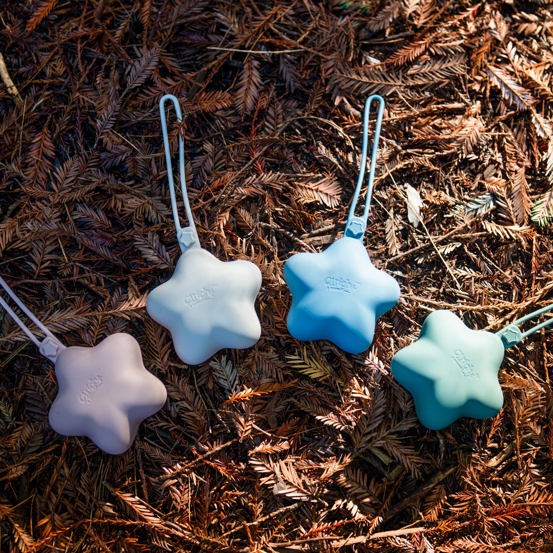 Silicone Pacifier & Holder Set